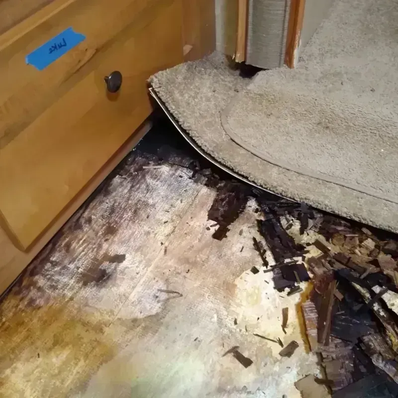 Wood Floor Water Damage in Nashville, TN